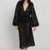 Stella Nova Lace Sequin Blouse - Black | Shirts And Tops